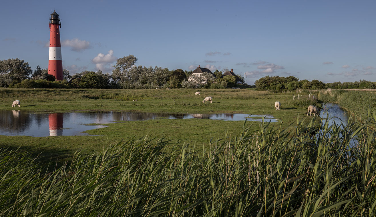 nordsee-urlaub-pellworm